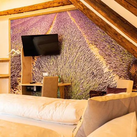 Hotel Lend-platzl 4*